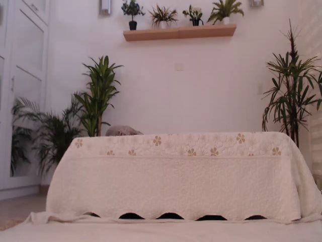 Live sex webcam photo for AngelaMar #253830535