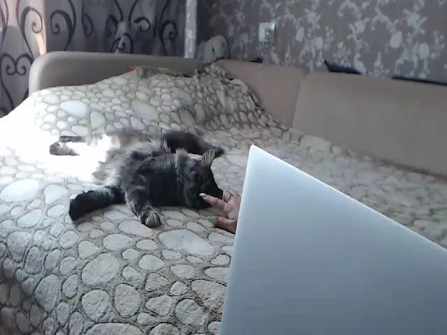 Live sex webcam photo for BlackPuma69 #259727132