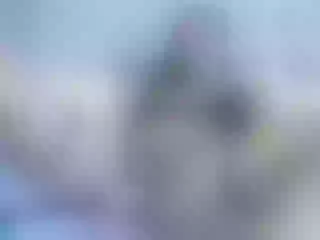Live sex webcam photo for lizzarobert #240965608