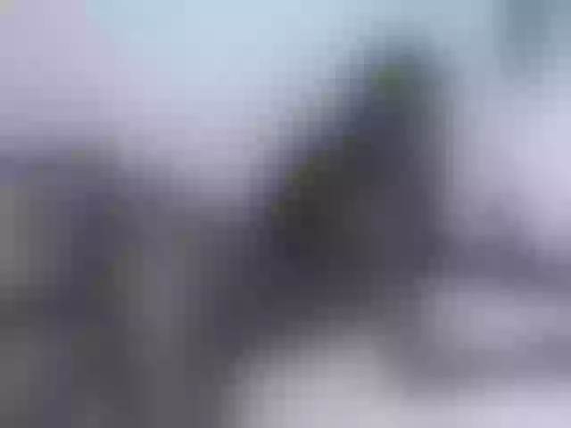 Live sex webcam photo for Leidysautss #263925134