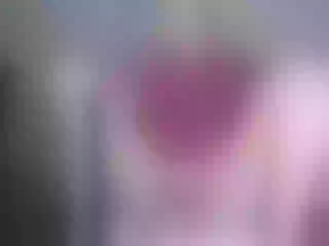 Live sex webcam photo for svetik83 #241199766