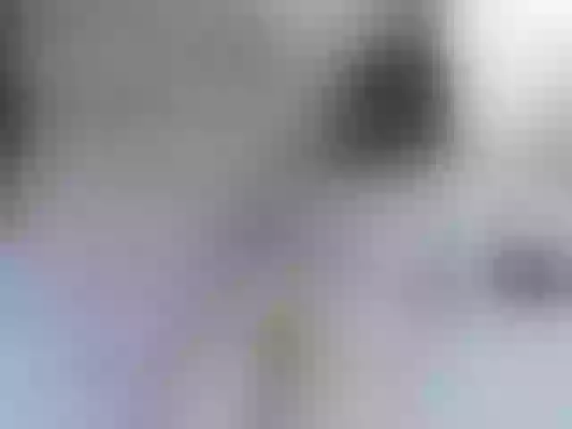 Live sex webcam photo for heynisha #258495602