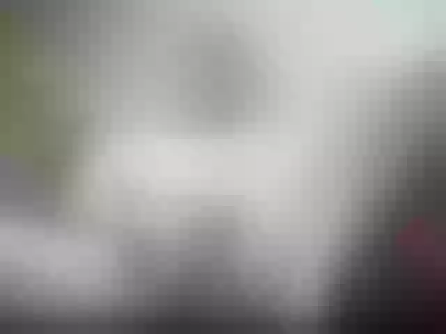 Live sex webcam photo for RachelORose #240947659