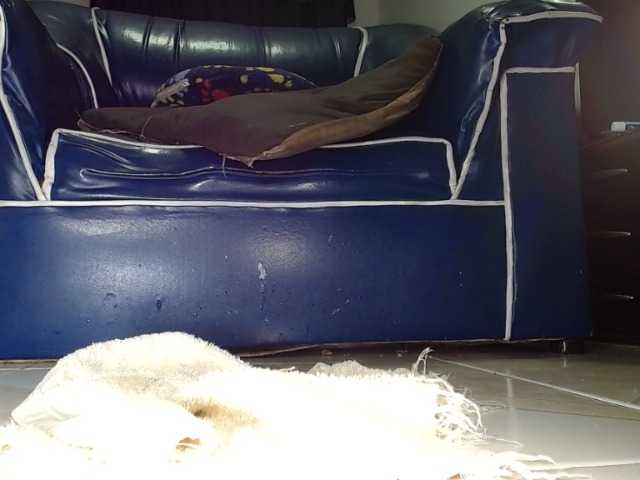 Live sex webcam photo for Alexia09 #241252445