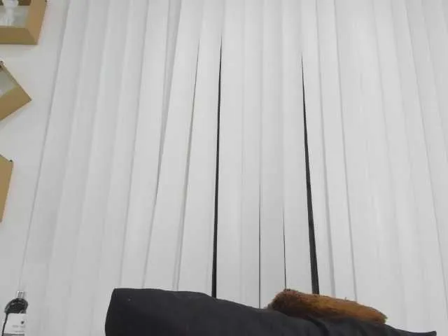 Live sex webcam photo for Merida- #248547848