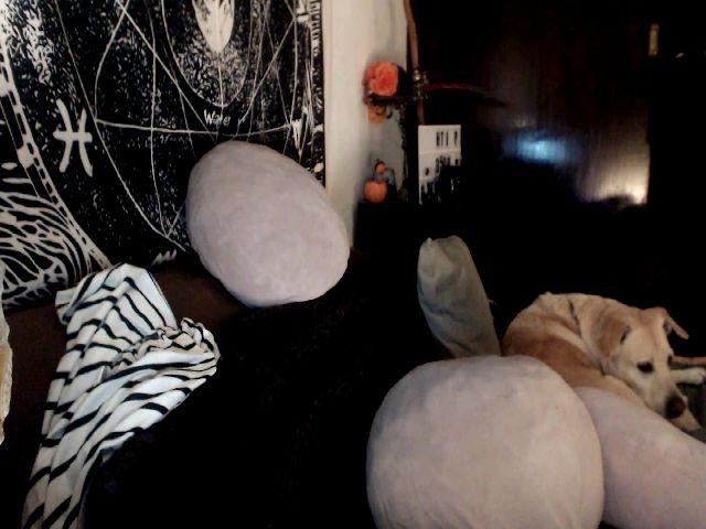 Live sex webcam photo for axehallow #254306157