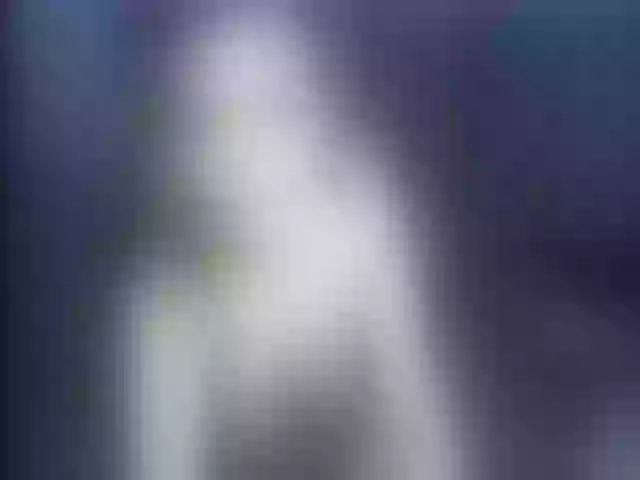 Live sex webcam photo for Ellaquality #252447289