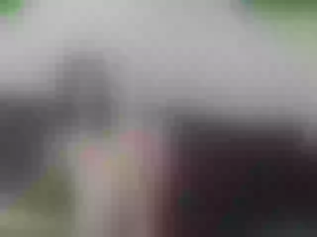 Live sex webcam photo for PureEmanuelle #260972909
