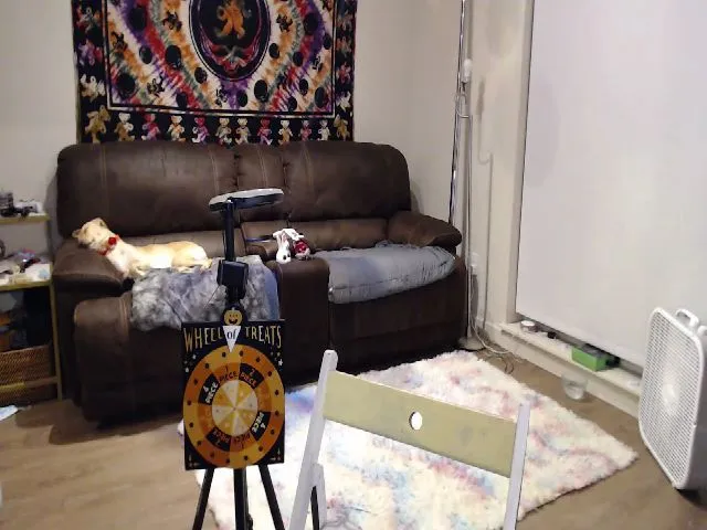 Live sex webcam photo for JaylaBliss #255256305