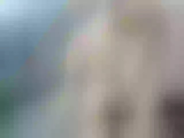 Live sex webcam photo for lolly_hollyy #252468286