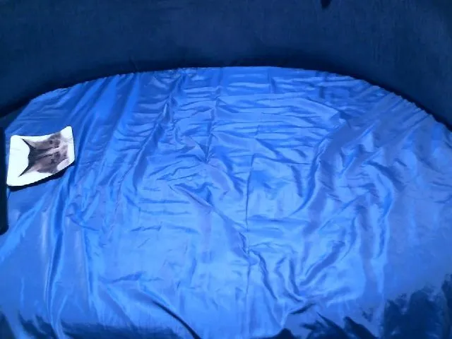 Live sex webcam photo for MagnoliaVS #254420983
