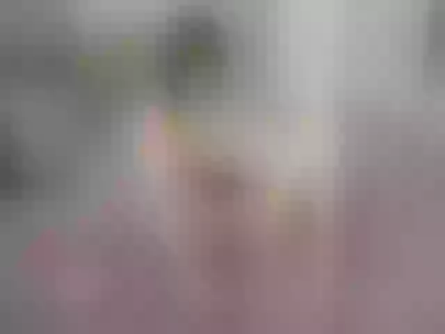 Live sex webcam photo for Oxxme #252501357