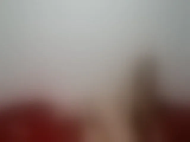 Live sex webcam photo for WildLadyHawke #260620763