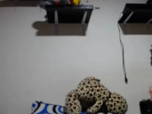 Live sex webcam photo for Chelaqueen #253449302
