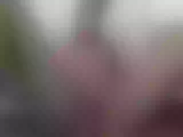 Live sex webcam photo for EleianaRose #261051210
