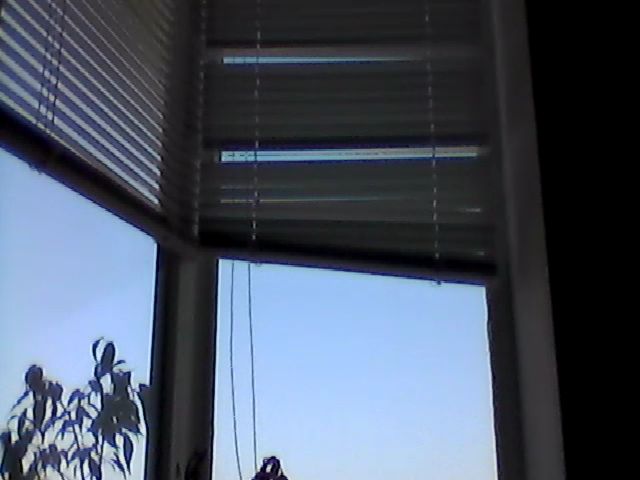 Live sex webcam photo for HotMakadamia #253358849