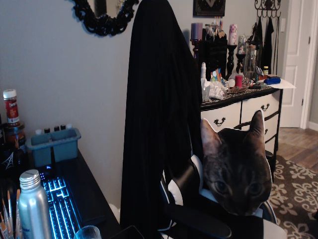 Live sex webcam photo for Painbaby #259026727