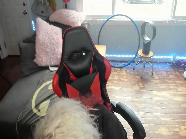 Live sex webcam photo for Janrubygirl #254857024