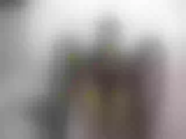 Live sex webcam photo for NoemiDavis #254491387