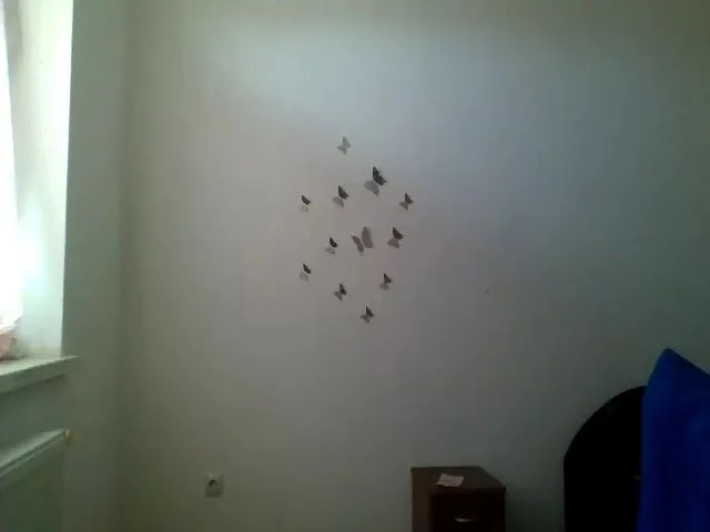 Live sex webcam photo for MisssSun #253735433