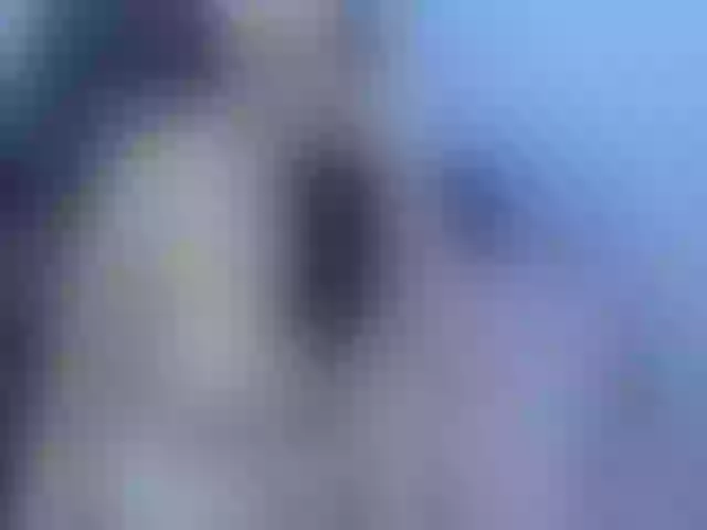 Live sex webcam photo for ameliporter #261073407