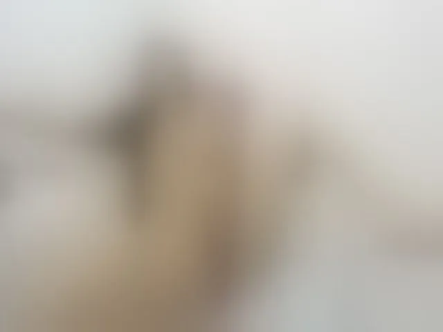 Live sex webcam photo for Msstrixxie #263135409