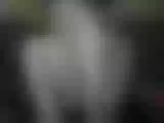 Live sex webcam photo for Elia-Asia #240504860