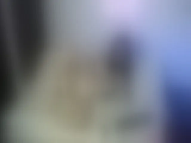 Live sex webcam photo for Jocelyn_Rosse #252623239