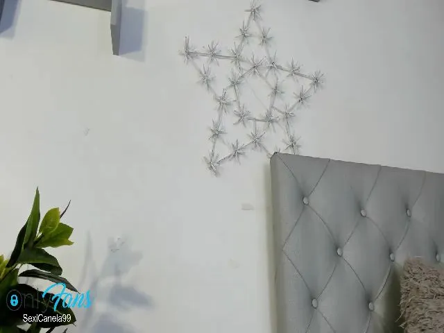 Live sex webcam photo for SexiCanela99 #252540392