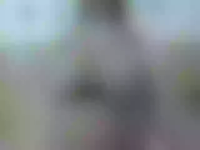 Live sex webcam photo for Mssburbuja #259132023