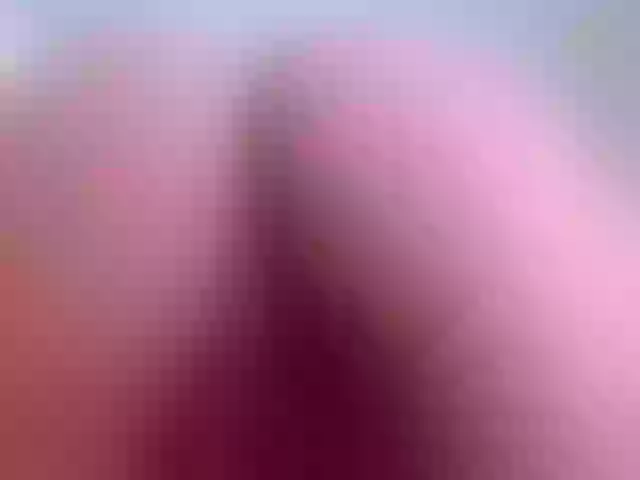 Live sex webcam photo for SweetDollx #241048963