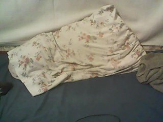 Live sex webcam photo for Noums #240515638