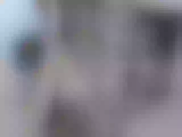 Live sex webcam photo for ItzyKardashan #264754528