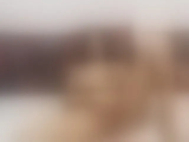 Live sex webcam photo for Kaly2019 #241658180