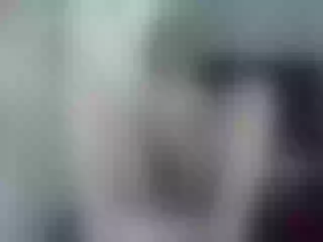 Live sex webcam photo for Girasolwalton #254288366