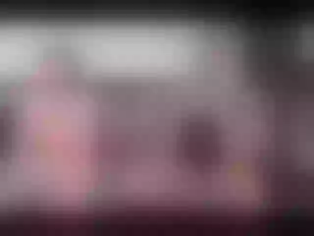 Live sex webcam photo for Softhottmilf #252835890