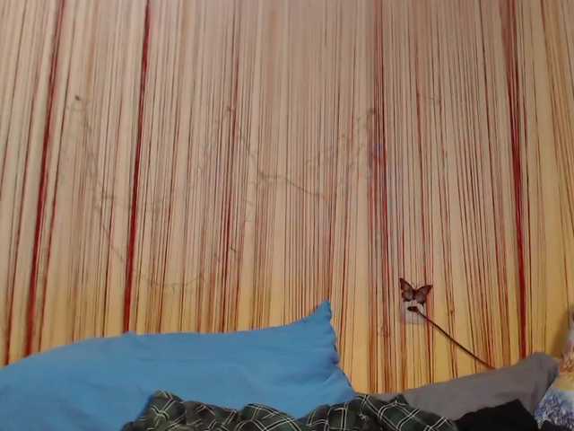 Live sex webcam photo for Ffainna #240993668