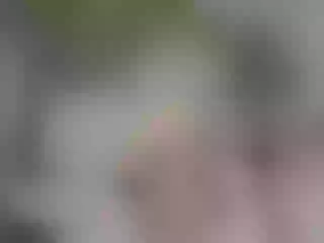 Live sex webcam photo for Anahi_18 #259716819