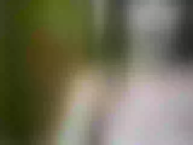 Live sex webcam photo for SofiAmeli #262632801
