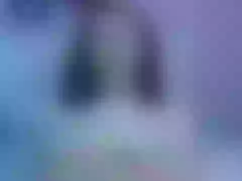 Live sex webcam photo for DakotaLhee #244870803