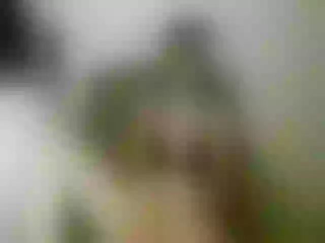 Live sex webcam photo for Terra1123 #265131485