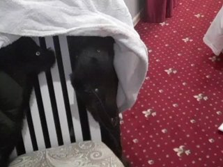 Live sex webcam photo for Eva906090 #240840235