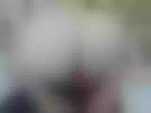 Live sex webcam photo for Mssbombom_ #259869591