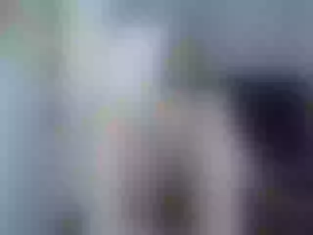 Live sex webcam photo for Girasolwalton #254307335