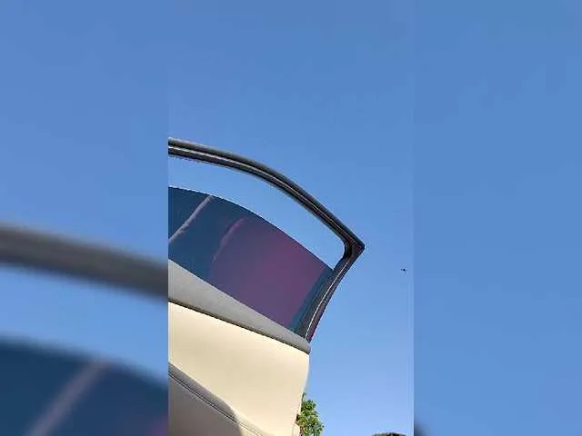 Live sex webcam photo for Prurient-Gem #242181543