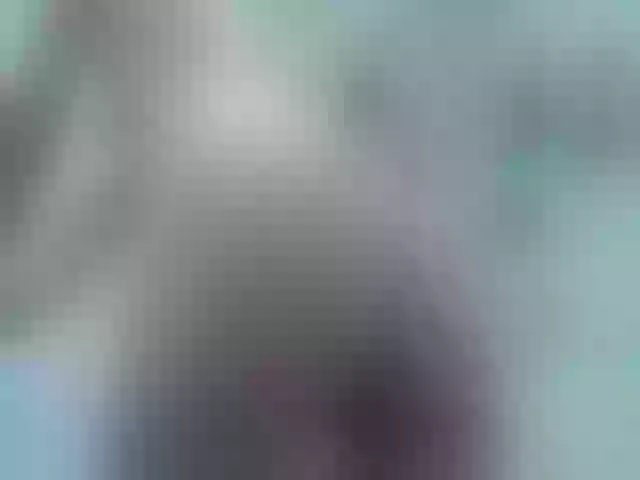 Live sex webcam photo for Greybunny #262571244