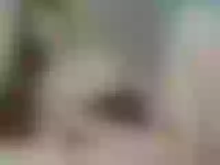 Live sex webcam photo for Girl-Pleasure #240806607