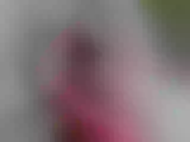 Live sex webcam photo for pevicha #241067164
