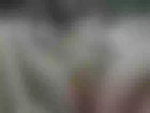 Live sex webcam photo for Ashley_shaw #252298240