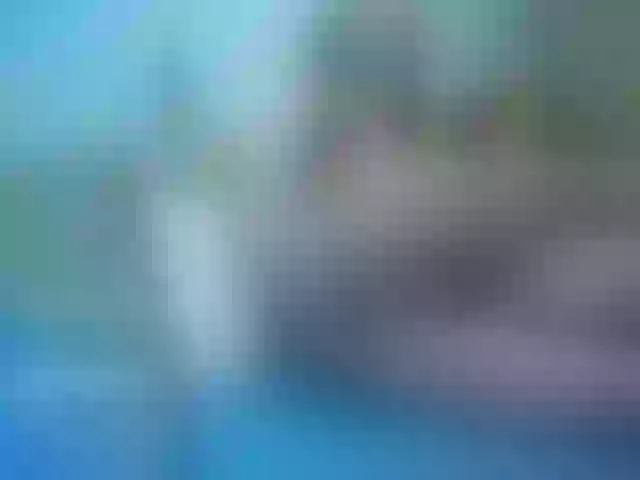 Live sex webcam photo for cheaptipmenu #240968613